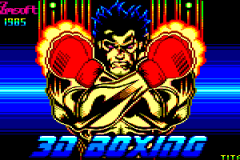 3DBoxing_2022