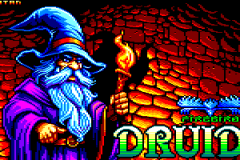 Druid_2024